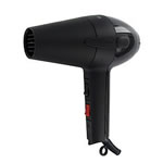 Elchim 3001 Millennium 1800W Ceramic Ionic Hair Dryer Review